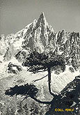 carte postale ancienne aiguille du Dru Pierre Tairraz