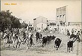 Bandido aux Stes Maries de la Mer c1950