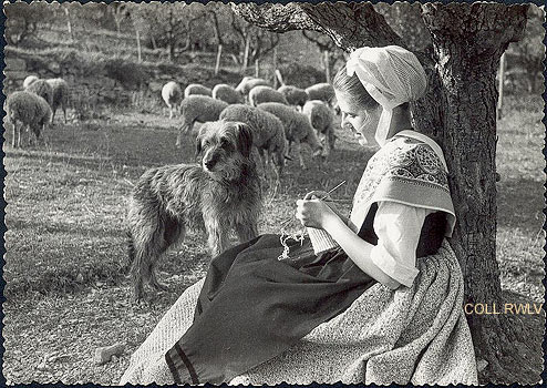 Vaison la Romaine, bergere comtadine, carte Augier