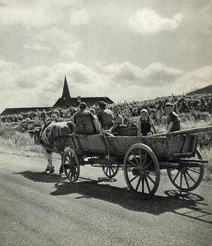 IMAGES D'ALSACE 1956 photos Yan, Doisneau