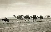 vintage postcard caravan in desert