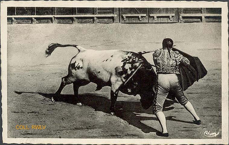 cpa  arenes de Nimes matador faisant une muleta 1949