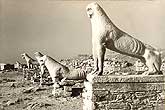 Delos les lionnes