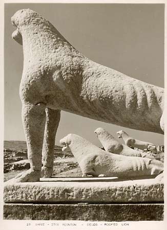 Delos les lionnes