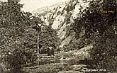 in Dovedale, vintage postcard