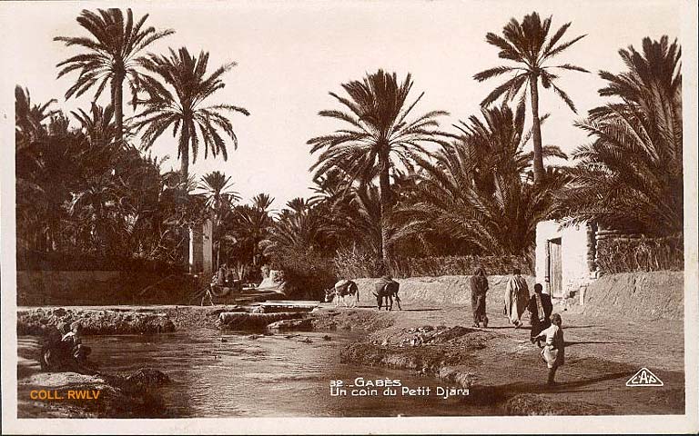 carte postale ancienne Gabes  Tunisie le petit Djara