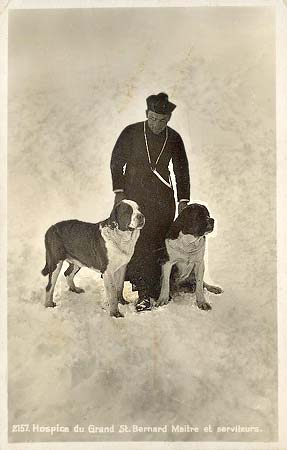 carte postale ancienne chiens du Grand St Bernard Suisse