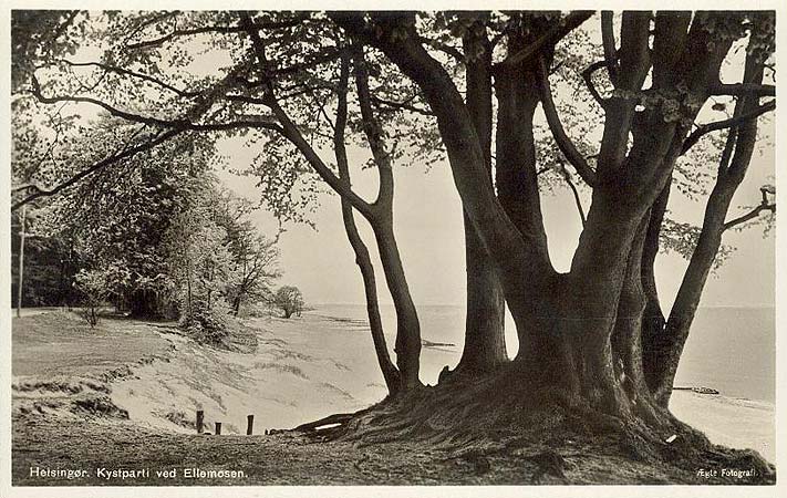 vintage postcard from Helsingor Denmark