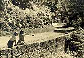 jeunes filles sur un muret de campagne 1950