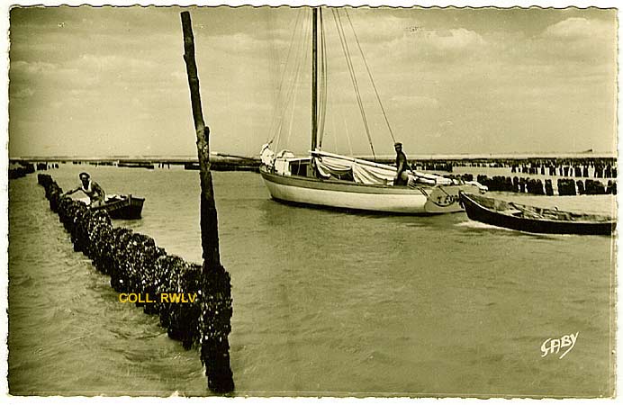 l'Aiguillon La Faute sur Mer Vendee les bouchots carte postale