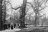 London 1900 Greenwich Park vintage photo