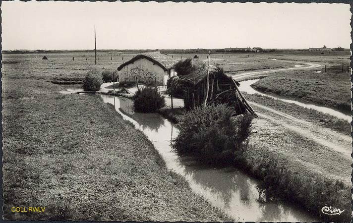 carte postale ancienne Vendee St Jean de Monts le marais