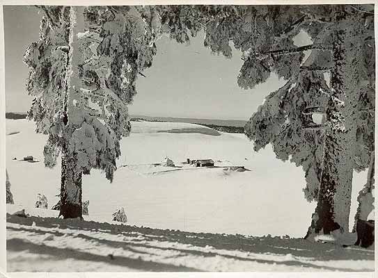 photo ancienne 1950 paysage de neige