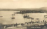 vintage postcard Oslo havnen c1900