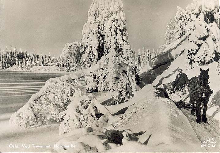 vintage postcard Oslo Ved Tryvannet, Nordmarka