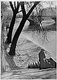 Paris quais de Seine 1960