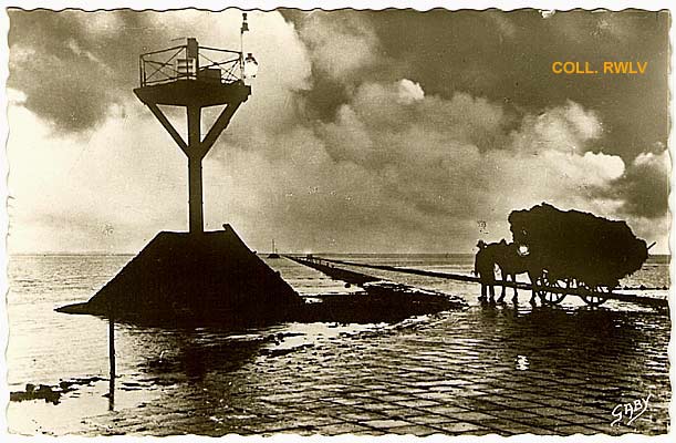 carte postale 1950 passage du Gois la nuit