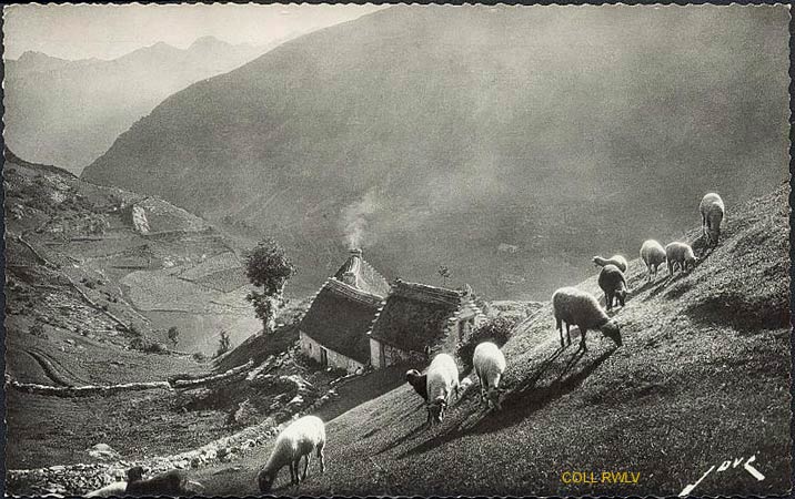 paturage pyreneen, carte Jove