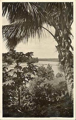 paysage tropical asiatique photo 1950