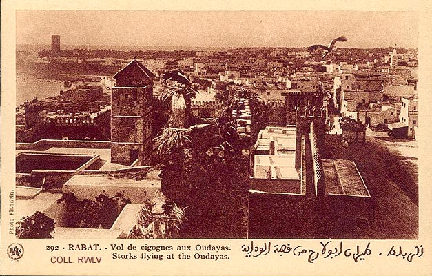 carte postale ancienne 1930 Rabat Maroc vol de cigognes aux Oudayas