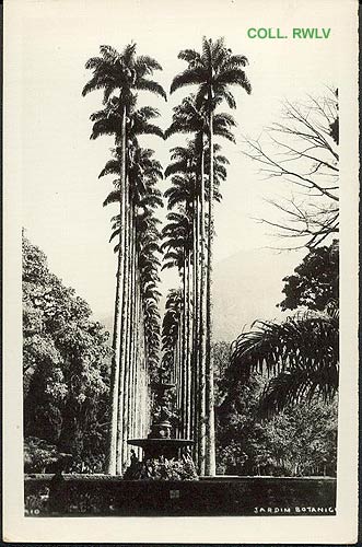 vintage postcard Rio de Janeiro jardim botanico