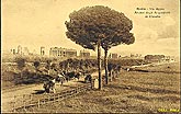 cartolina Roma  c1900 via Appia acquedotti Claudio