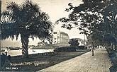 vintage postcard Singapore Connaught drive c1930