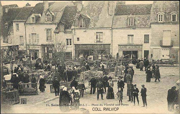 cpa 1900 Ste Maure de Touraine marché aux porcs