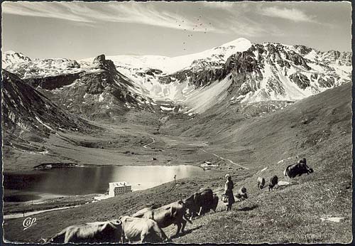 vachere a Tignes c1960