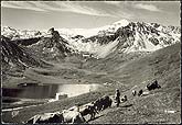 vachere a Tignes c1960