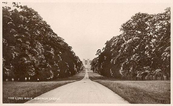 Windsor castle the long walk old postcard c1950